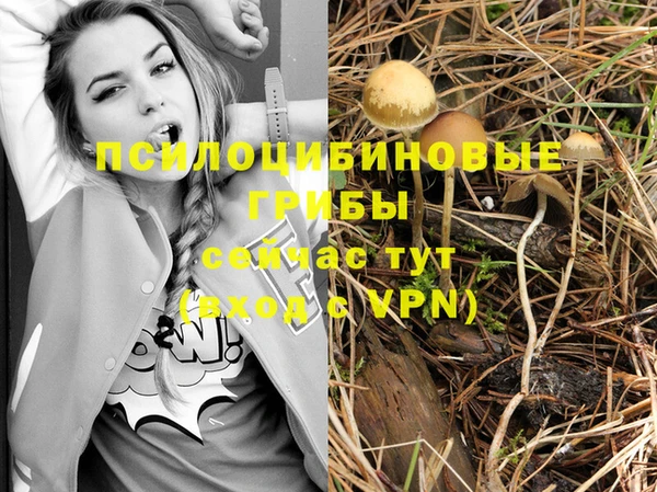 кристаллы Щучье