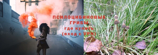 винт Гусев