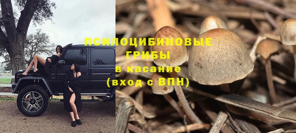 ALPHA-PVP Гусиноозёрск