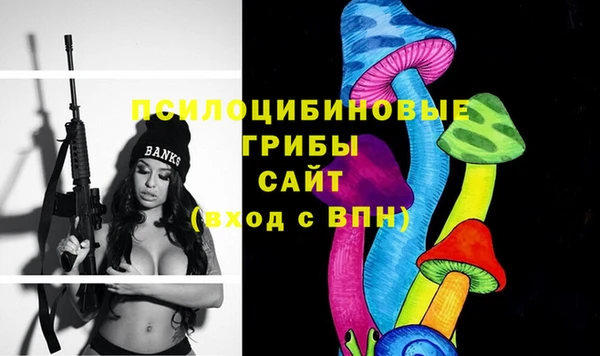 винт Гусев