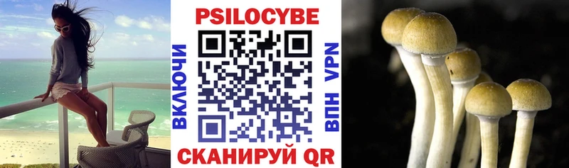 Псилоцибиновые грибы мухоморы Нея